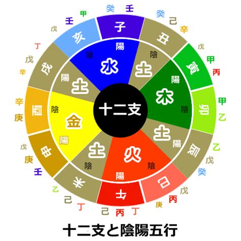 辛五行|【図解四柱推命】十干の性質（辛） 